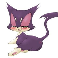 absurd_res aka_leopard anus_only blush female feral generation_5_pokemon half-closed_eyes hi_res looking_at_viewer narrowed_eyes nintendo pokemon pokemon_(species) purple_body purrloin simple_background solo video_games white_background