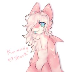 anthro artist_request blue_eyes character_name cuntboy femboy furry furry_shark intersex kaiju_paradise kawaii_shork_(kaiju_paradise) mastectomy_scar pink_skin roblox roblox_game shorks_(kaiju_paradise) source_request tagme white_hair