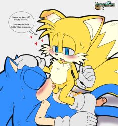 2_tails 2boys @_@ age_difference anthro balls blue_body blue_eyes blue_fur blush bodily_fluids canid canine closed_eyes clothing dominant dominant_male duo ear_blush erection eulipotyphlan fellatio footwear fox fur gay gay_blowjob genitals half-closed_eyes hand_on_head handwear hedgehog hi_res male male/male mammal multi_tail narrowed_eyes oral oral_penetration penetration penile penis penis_in_mouth pepamintop saliva saliva_on_tongue sega sex sonic_(series) sonic_the_hedgehog sonic_the_hedgehog_(series) sucking sweat tail tails tails_the_fox white_body white_fur yellow_body yellow_fur young younger_male