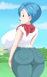 bulma briefs from dragon ball by toshiso