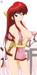 kasumi (doa) from dead or alive by stiky finkaz
