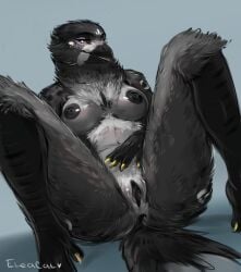 anthro anus avian beak bird bird_feet black_body black_feathers breasts claws corvid eleacat eyelashes feathers female furry genitals hi_res leaning leaning_back looking_at_viewer magpie_(corvid) nipples non-mammal_breasts nude oscine passerine purple_eyes pussy solo tail_feathers