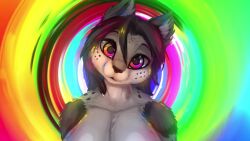 animated big_breasts cute feline fur furry grey_fur hypnosis hypnotizing_viewer mind_control mp4 no_sound sarki spiral_eyes video