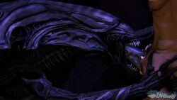 1boy 3d alien alien_(franchise) ambiguous_gender animated balls blowjob dasharky3d deepthroat dominant dominant_human faceless_male fellatio feral_on_male human human_penetrating light-skinned_male light_skin loop male nipple_piercing nipples piercing precum sound tagme video xenomorph