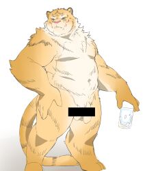 2022 anthro balls biped censored felid flaccid genitals hi_res humanoid_genitalia humanoid_hands humanoid_penis inunoshippo kemono male mammal pantherine penis solo tiger