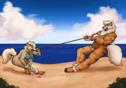 anthro arcanine ass ball beach breasts casual_nudity ditto_(disambiguation) duo female generation_1_pokemon genitals leash male male/female maya_henderson_ditto mr._henderson muscular nintendo nude penis pickles-hyena pokemon pokemon_(species) seaside tug_of_war video_games