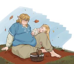 link from breath of the wild by artist request
