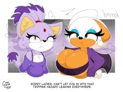 blaze the cat from sega by guzzlord420