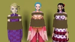 Viola (One Piece) Rule 34 Image