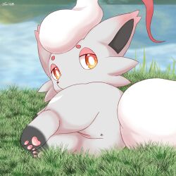 1:1 aleuoliver anus female feral genitals hi_res hisuian_form hisuian_zorua looking_at_viewer nintendo pawpads paws pokemon pokemon_(species) pussy regional_form_(pokemon) solo video_games white_body zorua