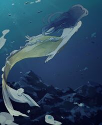 1girls black_hair fish_tail long_hair mana_(mermaid_saga) mermaid mermaid_forest mermaid_saga mermaid_tail mermaid_transformation monster_girl takahashi_rumiko