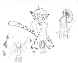 areolae artist_request balls breath_of_fire breath_of_fire_ii cum cum_drip cum_dripping female fur furry furry_ears jiggle jiggling_breasts katt medium_breasts messy_hair nipples penis short_hair skinny small_waist striped striped_body striped_face striped_fur striped_tail stripes testicles unshaved_pussy vaginal_penetration womb x-ray