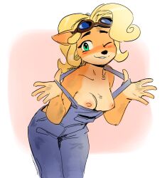 coco bandicoot from activision by the-minuscule-task