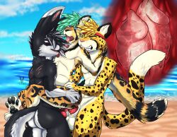 absurd_res anthro athletic beach canid canine canis cheetah cutefckngbunny double_penetration felid feline felix_(roadd) gay genitals girly group group_sex hi_res hybrid internal internal_frottage king_cheetah knot lagomorph leporid licking male male/male male_only mammal nude penetration penile_spines penis rabbit sea seaside sex stomach_bulge threesome tongue tongue_out trio water wolf xomiau yukito_sinion