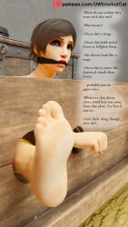 3d barefoot bondage brown_hair feet feet_up female femsub foot_focus gag gagged miriilandra_chaeihre nude pillory short_hair sitting slave slavegirl story story_at_source text text_box uwsnorkelcat