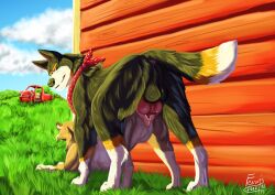 absurd_res building canid canine canis car collie domestic_dog duo farm female fenris64 feral feral_on_feral fur furry_only gamila_(the_secret_life_of_pets) grass herding_dog hi_res illumination_entertainment male male/female mammal pastoral_dog plant rooster_(the_secret_life_of_pets) shaded sheepdog soft_shading the_secret_life_of_pets vehicle wall_(structure) welsh_sheepdog wolf wood wood_wall