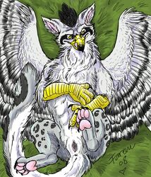 2011 anus avian female feral furry furry_only goldenfox gryphon licking_lips non-anthro on_back pussy solo wings