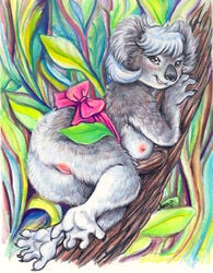 2011 anthro ass aura_moser blush bow breasts chubby female fur furry koala looking_at_viewer mammal marsupial nipples nude on_side pussy solo tree