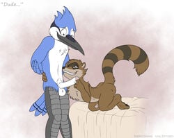 avian balls beak bed chest_hair couple dracovar furry furry_only gay male mordecai no_humans penis pubic_hair rape_face regular_show rigby uncut yaoi