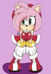 amy_rose female furry gatako_art sega sonic_(series)