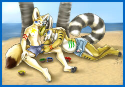 2009 anthro balls beach bodypaint cacomistle canine cutoffs denim exposed fennec fox fur furry furry_ears furry_tail island male moodyferret painting penis pregnant qba ringtail ripped seaside sethrik sex sheath shorts tail teasing torn tribal yaoi