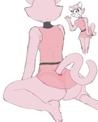 anthro anthro_only artist_request furry pink_fur see-through_clothing shima_luan sole_female super_planet_dolan tagme tail