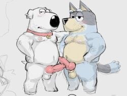 animal_genitalia animal_penis anthro balls bandit_(bluey) bandit_heeler bluey_(series) brian_griffin canid canine canine_penis canis collar domestic_dog duo erection family_guy genitals knot male male/male male_only mammal penis tora_gy