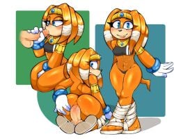 1boy 1girls anal anthro echidna fellatio female female_focus furry human human_on_anthro interspecies male male/female male_human/female_anthro male_on_anthro mayghely partial_male sega sex sonic_(series) sonic_adventure sonic_the_hedgehog_(series) straight swimsuit tikal_the_echidna