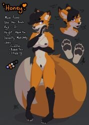 2021 anthro black_hair breasts canid canine english_text feet female fox genitals gloves_(marking) hair hi_res honey_(mewmus) leg_markings mammal markings mewmus navel nipples nude pawpads purple_eyes pussy smile socks_(marking) solo standing text