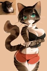 1girls anthro arms_under_breasts bangs big_breasts breasts brown_fur brown_hair cat_ears cat_tail countershading crossed_arms feline female female_only fur furry furry_only green_eyes hi_res looking_at_viewer medium_hair meme reference_image shorts solo striped_fur tail tank_top whiskers yuio