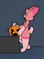 3:4 absurd_res anthro balls cherry_(knotthatbun) closed_eyes food food_fetish food_play fruit fur furry furry_only genitals grape_ad hi_res jack-o'-lantern lagomorph leporid looking_pleasured male male_only mammal open_mouth pink_body pink_fur plant pumpkin_sex rabbit solo tail