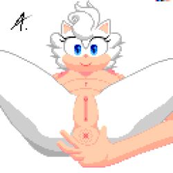 1:1 5_fingers a._(artist) anus areola blue_eyes breasts digital_media_(artwork) eulipotyphlan fan_character female fingers fur genitals hair hedgehog looking_at_viewer mammal navel nipples nude peach_pussy pixel_(artwork) presenting presenting_anus pussy sega shaded signature simple_background smile solo sonic_(series) sonic_the_hedgehog_(series) sophie_(argento) spread_anus spreading white_background white_body white_fur white_hair