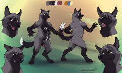 5:3 angry anthro anthro_only balls black_balls black_body black_fur black_nose black_penis blue_eyes canid canine canis dipstick_tail domestic_dog fangs flaccid fur furry genitals glans glistening glistening_nose grey_body grey_fur humanoid_genitalia humanoid_penis laser_(artist) looking_up male mammal markings model_sheet multicolored_penis narrowed_eyes nude open_mouth orange_eyes penis red_glans red_penis red_tongue simple_background solo standing tail_grab tail_markings text three-quarter_view tongue tongue_out two_tone_penis url