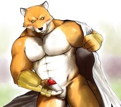 anthro bleach canine color erection fox furry male male_only masturbation muscles nipples no_humans penis sajin_komamura solo testicles undressing