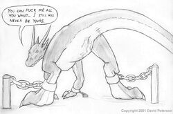2001 Rule 34 Image