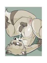 anthro anus ass balls cbee cum cum_in_mouth cumshot edit fender fur furry hair male male_only no_humans nude open_mouth orgasm penis raccoon solo