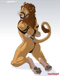 1boy anthro bondage exiles feline fur furry lion male male_only nude solo tamu