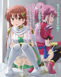 2girls blush brown_hair censored clothing dragon_quest dragon_quest_dai_no_daibouken homare_(suzu_no_oka) medium_breasts panties panties_around_leg pee_on_floor peeing peeing_on_floor peeing_together pink_hair princess_leona pussy translation_request urinating urination urine urine_on_floor urine_pool urine_stream