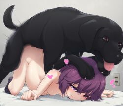 1animal 1girls akai_(riaakai) bangs big_belly canine commission female feral feral_on_female feral_on_human happy_sex heart machikado_mazoku mostly_nude naked_socks nipples nude nude_female pink_eyes pregnant purple_hair sex short_hair skeb_commission smile tail tongue tongue_out top-down_bottom-up yoshida_ryouko zoophilia