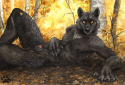 alpha anthro blotch canine fur furry looking_at_viewer male male_only outdoors sheath wolf