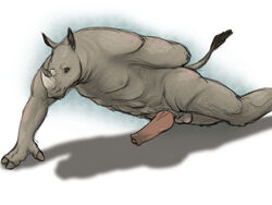 1boy anthro color male male_only penis push-up rhino side_view solo