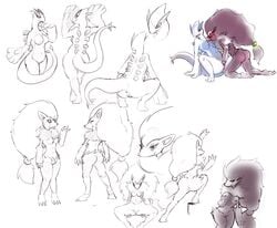 avian female furry lugia pokemon pokemon_(species) pokemon_focus purplekecleon yuri zoroark