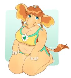 elephant daisy from mario kart world