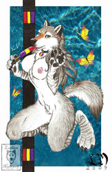 2009 breasts butterfly canine collar female furry licking luthiennightwolf nipples nude popsicle pussy solo tongue white_fur wolf