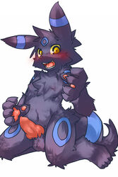 1boy blush eeveelution fur furry_ears furry_tail kosian male male_only nintendo penis pokemon pokemon_(species) solo tail testicles umbreon yellow_eyes