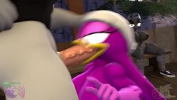 3d_(artwork) adam_(juicyducksfm) bird blowjob fan_character female female/futa futanari juicyducksfm sonic_(series) tagme video wave_the_swallow