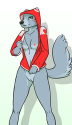 2011 anthro blue bottomless breasts canine clothed clothing female fur furry furry_only hoodie kana nude partially_clothed pussy ritts small_breasts solo tail topwear wolf