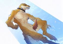 alligator alligatorid animal_genitalia collar crocodile crocodilian genital_slit genitals hi_res male male/male penis reptile scalie shakran slit_(disambiguation) solo swimming water