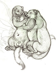 2015 balls closed_eyes ermine feral group group_sex hindpaw holding male mammal multiple_males mustelid nude oddwilds open_mouth paws pencil_(artwork) sex sheath smile traditional_media_(artwork) yaoi