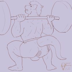 anthro anus backsack balls bodily_fluids clothing dragon gaping gaping_anus genitals hi_res male muscular muscular_male rear_view solo squatting_position sweat thehuskydragon underwear weights worried_look